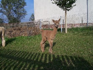 100_4681.JPG