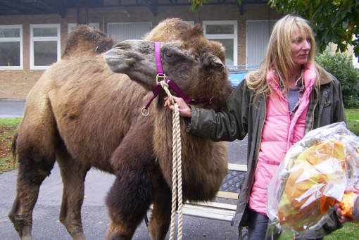 Foto von Heike 4A.jpg